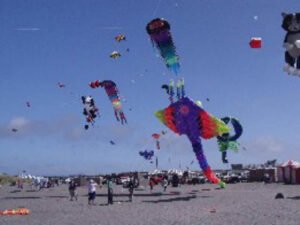 Kite Flying Area in Long Beach, WA